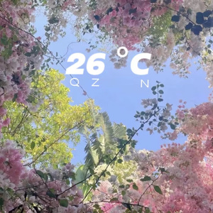26℃