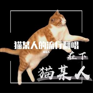 蔡淳佳-陪我看日出（Cover 蔡淳佳）（猫某人 remix）