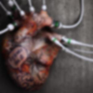 MARIE ... nan, rien (feat. FRANÇOIS JOUAULT)