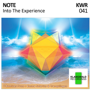 Into The Experience (Kosma Solarius Tuning Venus A 442Hz Remix)