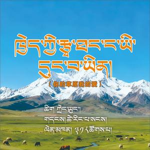 你的草原我的爱  藏语版