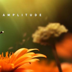 Amplitude (Meditation)