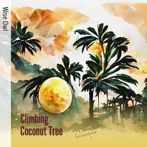Climbing Coconut Tree