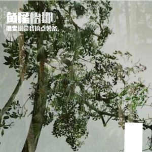 鱼尾
