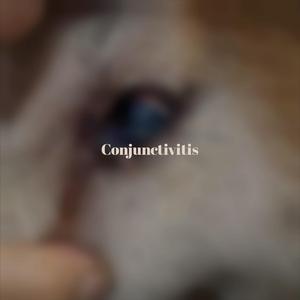 Enchantment Outnumbered