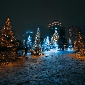 미안해 한 마디