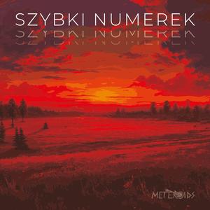 Szybki Numerek