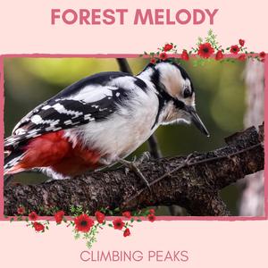 Watch the Stars with Accompanying Cricket Noise