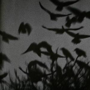 熬一熬就过去了