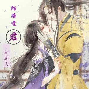 陌路逢君 - 林翼飞