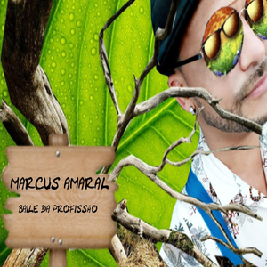 Baile da Profissão
