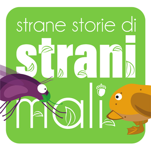 Pat pat pat, frag frag frag