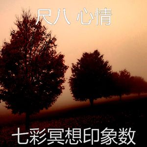 抚慰的回春回忆