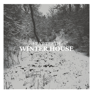 Winter House