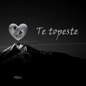 Te Topeste