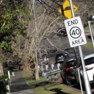 nothing blooms at midnight