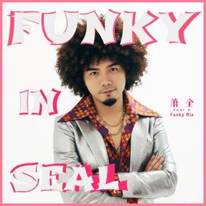 那一朵流浪花 Soulful Funky Mix