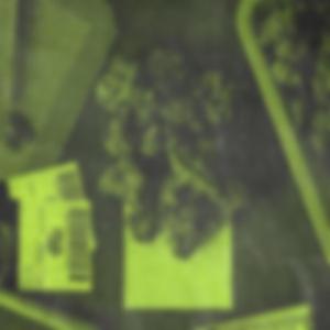 Krippy (feat. Marky Mel)