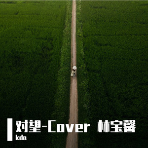 对望-Cover林宝馨