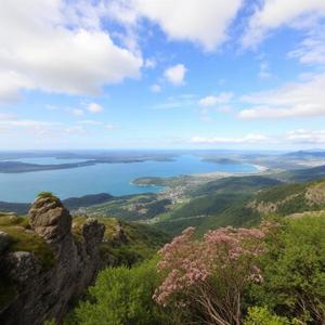 Arrivederci Amore Mio