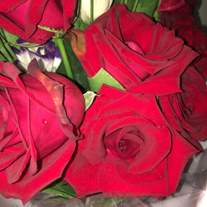 Ｌｏｎｅｌｙ Ｓｏｕｌ