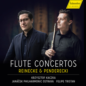Concerto for Flute and Chamber Orchestra: I. Andante
