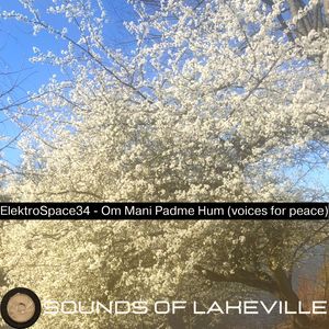 Elektrospace34 - Om Mani Padme Hum (Voices For Peace)