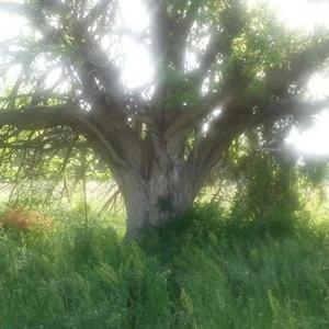 i'll bet she took every pill in the house