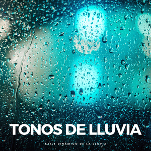 Sonidos De La Lluvia