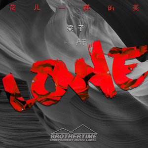 花儿一样的美 (伴奏)