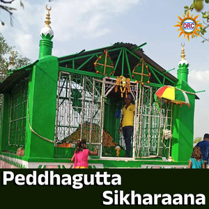 Peddhagutta Sikharaana