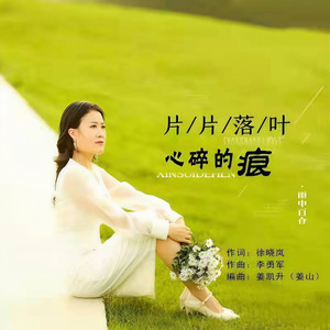 片片落叶心碎的痕 (伴奏)