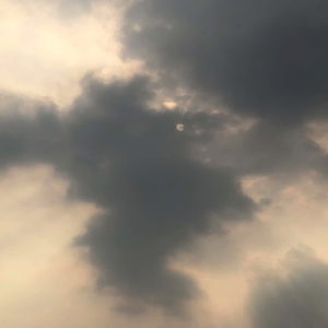 LAST SEEN ONLINE 3 YEARS AGO