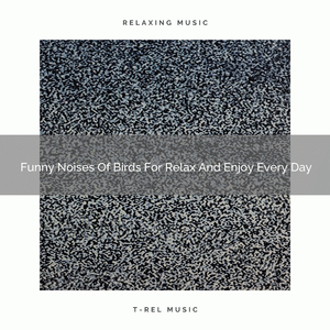 Pure Noise Of Nature For Chill And R.E.M. Sleep