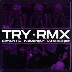 Try (feat. Lukas Roger & KidMangur) (Remix)