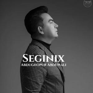 Seginix /思念