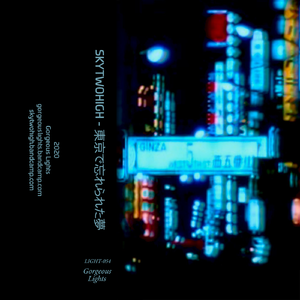 Tokyo 2048 Enter The Future