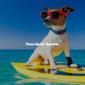 Happy Son Montuno Trumpet - Vibe for Misty Moments