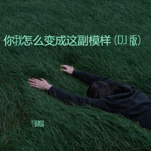 你我怎么变成这副模样（DJ 版）