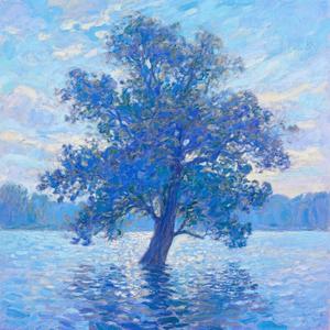 树轻轻说 花开花落