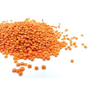 Lentejas Episodio Uno