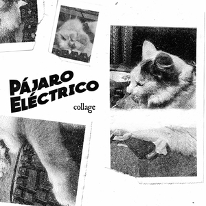 Rutas Argentinas (Almendra) [feat. Folclore Chileno en Armónica]