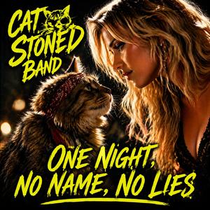 One Night, no Name, no Lies