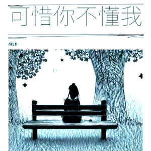 可惜你不懂我
