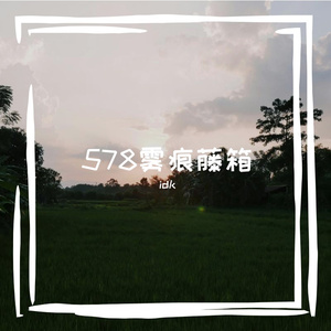 578雾痕藤箱