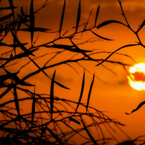 我多喜欢你，你会知道