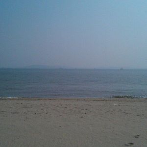 skrr（翻自 flashing fire）（翻自 王以太）