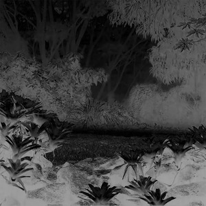 I Love It When It Rains at 4AM