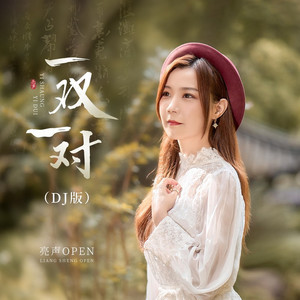 一双一对 (DjPad仔版)