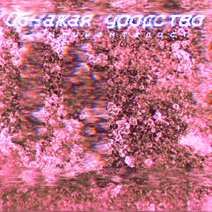 Визитёры дрожащего тлена